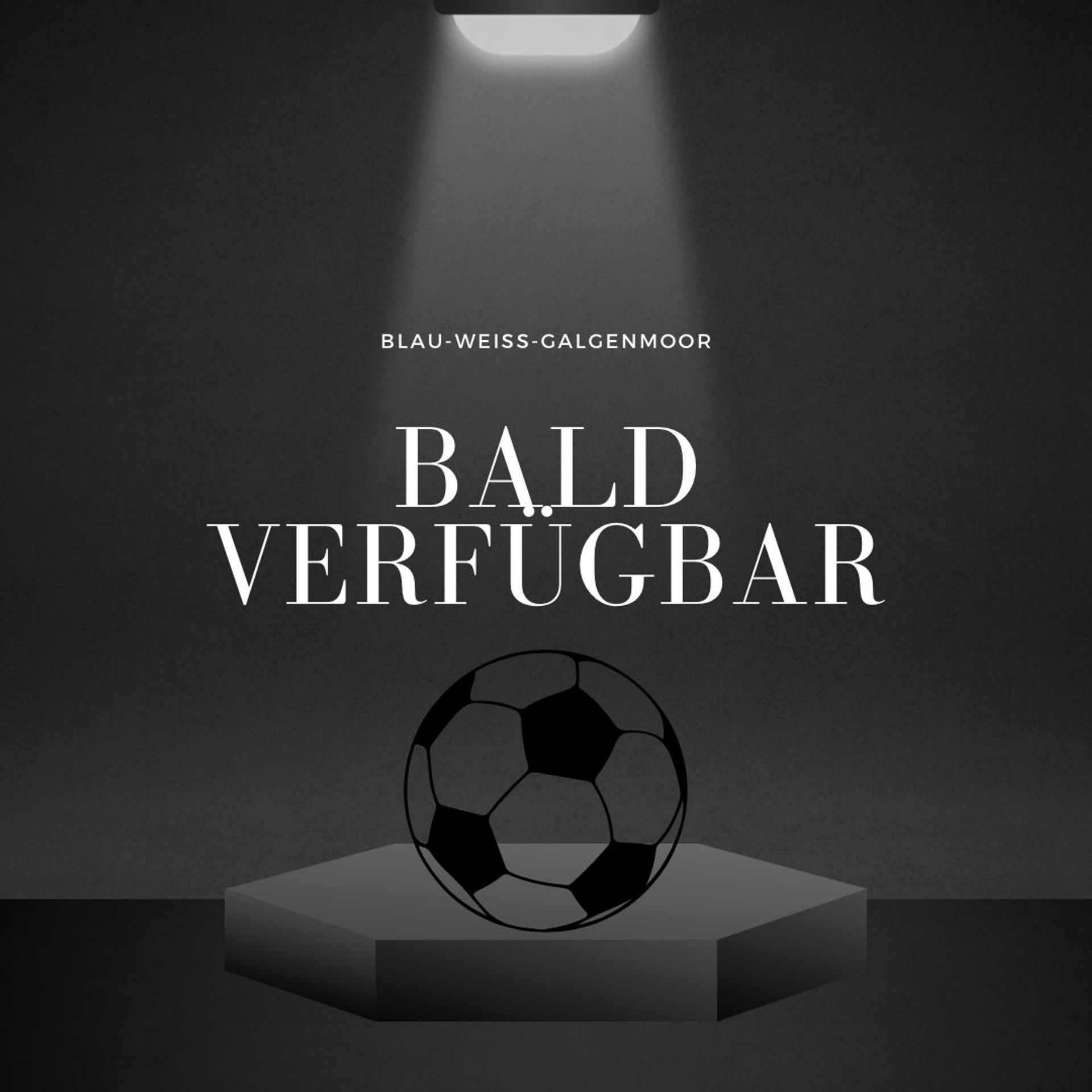 Mannschaftsfoto F2 Jugend